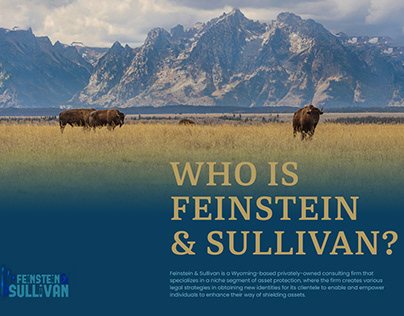 Feinstein & Sullivan Brochure