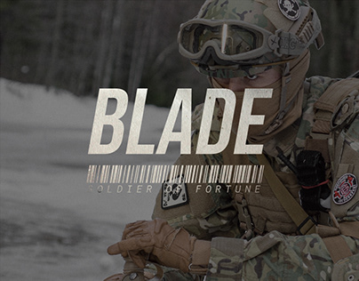 BLADE: SOLDIER OF FORTUNE