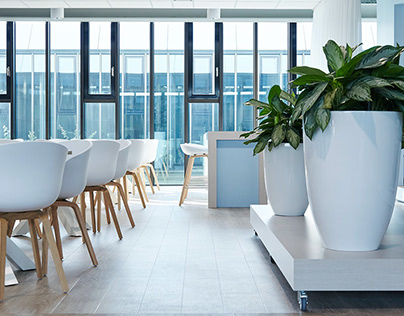 2015: BDO Breda new innovative office by M+R