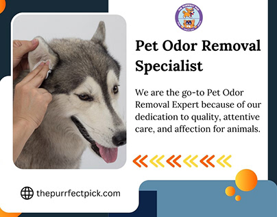 Pet Odor Removal Specialist | The Purrfect Pick