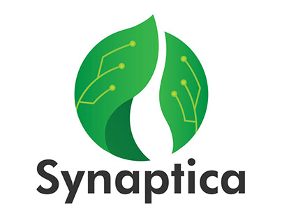 Synaptica Project