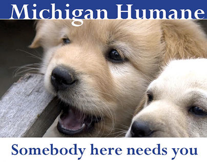 Humane Society Newsletter