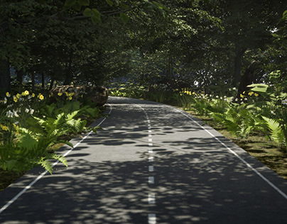 Road walkthrough - 3D Environment