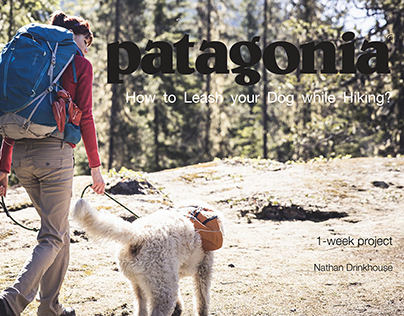 Patagonia Dog Fanny Pack