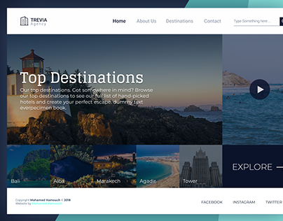 TREVIA Agency - Travel Agency UI Web Design.