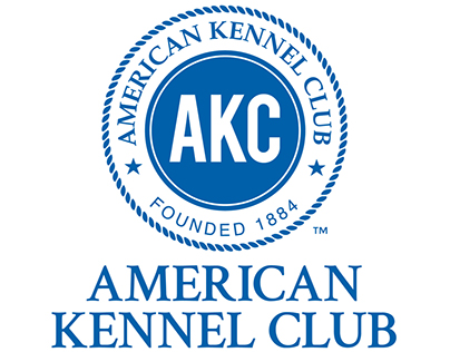 American Kennel Club Convertible Stepramp