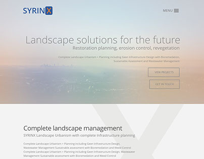 Mockup for Syrinx website (version)