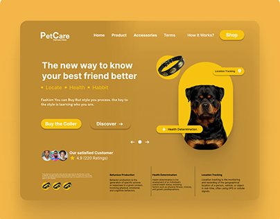 PateCAre Web Design