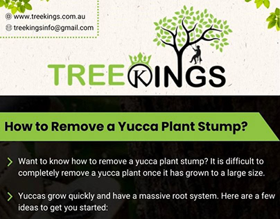 How to Remove a Yucca Plant Stump?