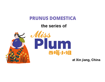 Packaging box for Xinjiang-produced plums from China