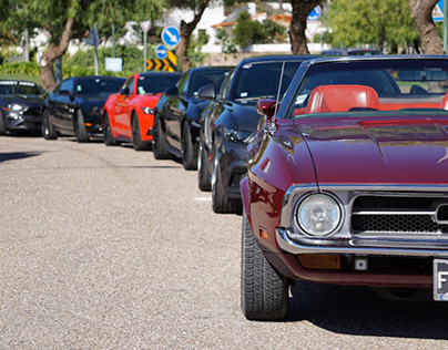 Photographs of Mustangs
