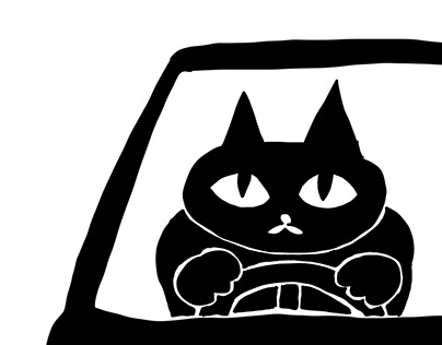 Black Cat enjoyed driving