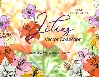 Elegant Lilies Vector set