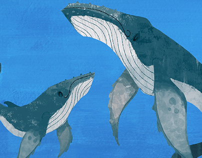 Humpback Whale Speed Paint- Art of David Ben