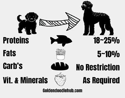 What is meant by the Nutritional Needs of Goldendoodles