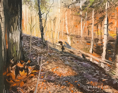 2021 New England Wilderness Paintings