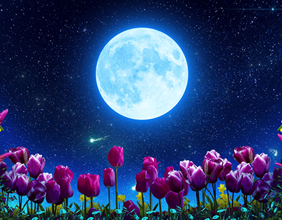 Flowers Under Moon Landscape