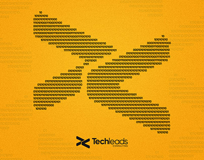 Techleads Consulting | Brand Identity