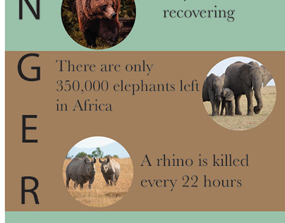 Endangered Animals Infographic