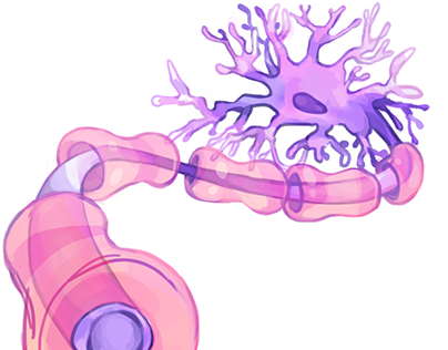 Neuron Illustration (wip)