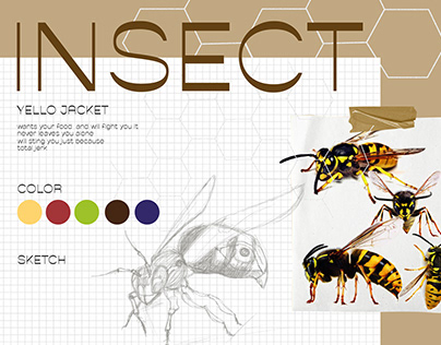 INSECT: YELLOW JACKET BEE