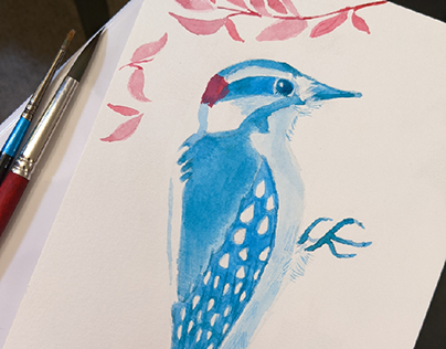 Watercolor Downy Woodpecker