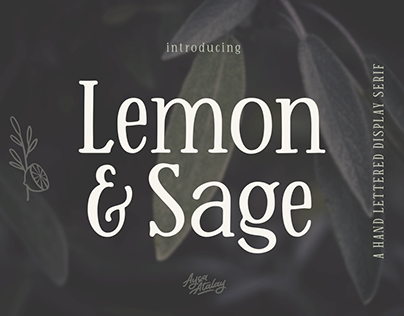 Lemon And Sage | A Hand Lettered Display Serif Font