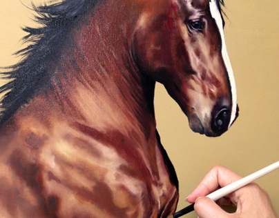Horse Painting collection