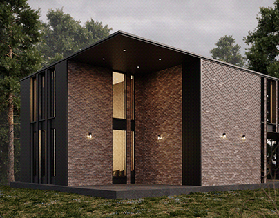 Visualization of the house (brick Roben)