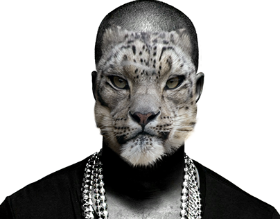 Kanye the cat