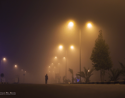 Fog at Night