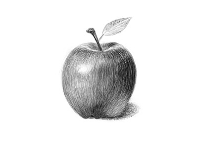 APPLES - Sketches