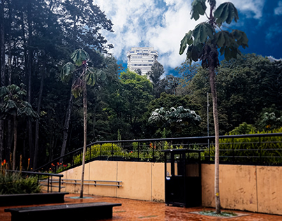 Bogotá: Retratos de una Ciudad