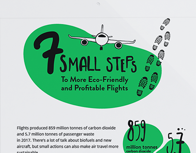 Making Air Travel More Eco-Friendly