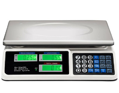 Digital Weighing Scale market size