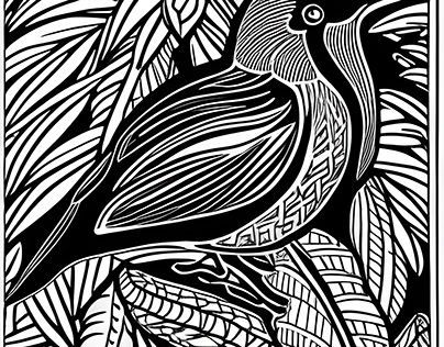 Black & white Tui bird.