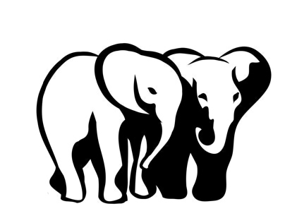 Elephant sketches for logo