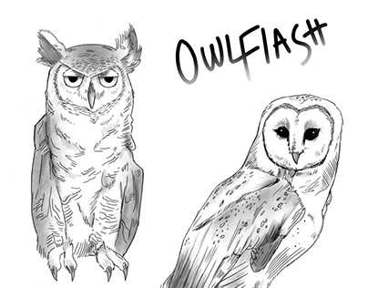 Owl Flash Tattoos