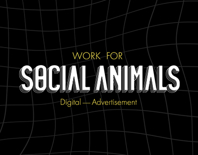 Project thumbnail - Social Animals