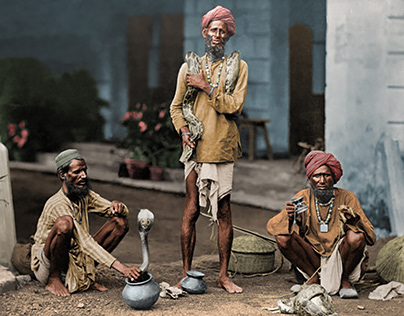 Indian man charming a cobra snake, late 1800s