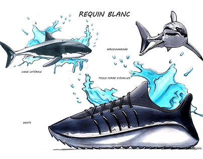 White Shark Sneaker