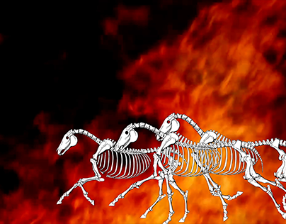 Full horse animation