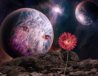 The Planet And The Flower - November 2015