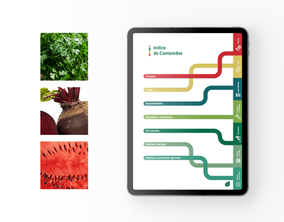 Web, Catálogo y Fotografía para Empresa de Alimentos