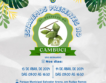 Festival Cambuci