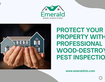 Professional Wood-Destroying Pest Inspection