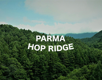 Project thumbnail - PARMA HOP RIDGE craft brewery