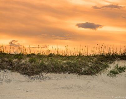 Sunset Sand Dune