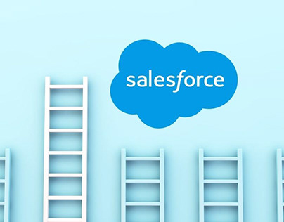 Salesforce Advising and Organizations