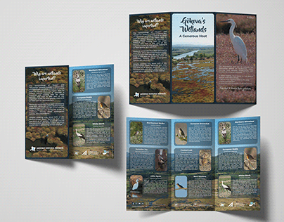 Gökova's Wetlands Trifold Flyer